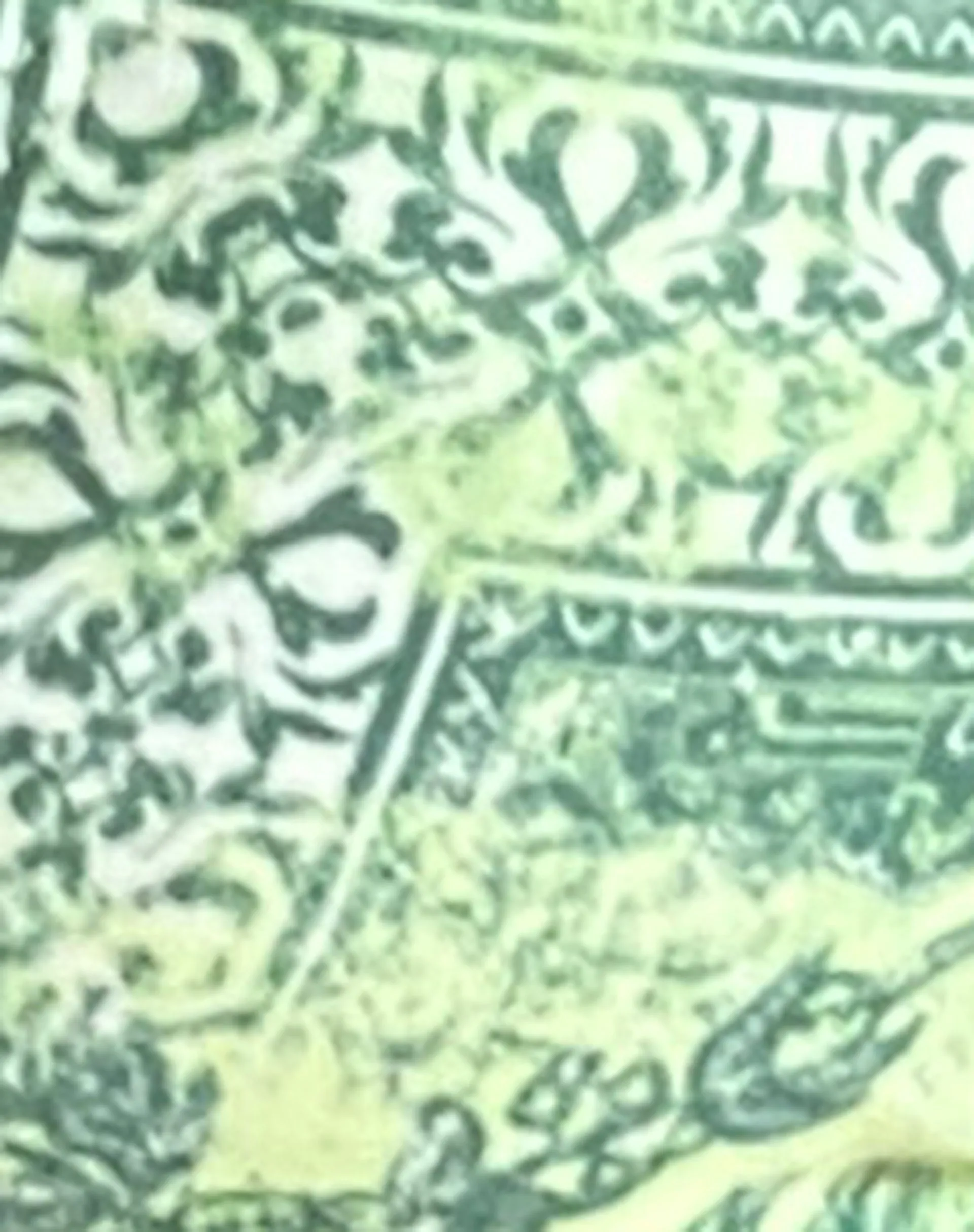 Pami Bikini Top in Abstract Paisley Green